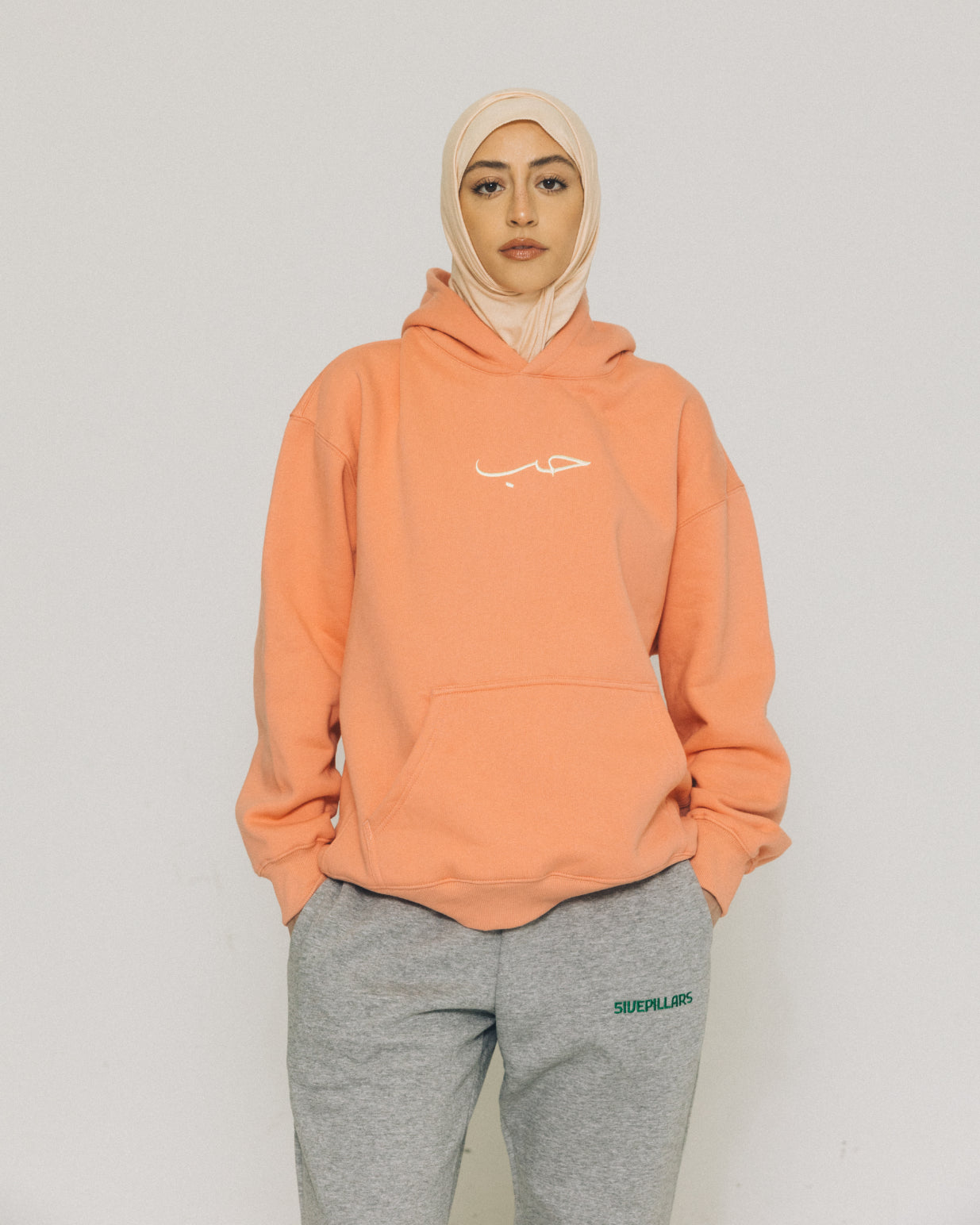 Hub (Love) Hoodie - Salmon